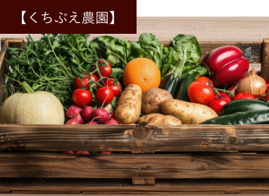 くちぶえ農園 野菜セット