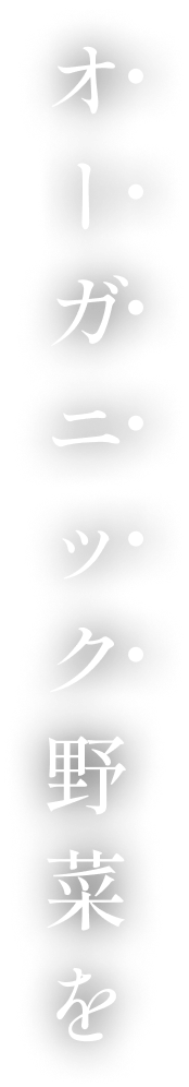 オーガニック野菜を
